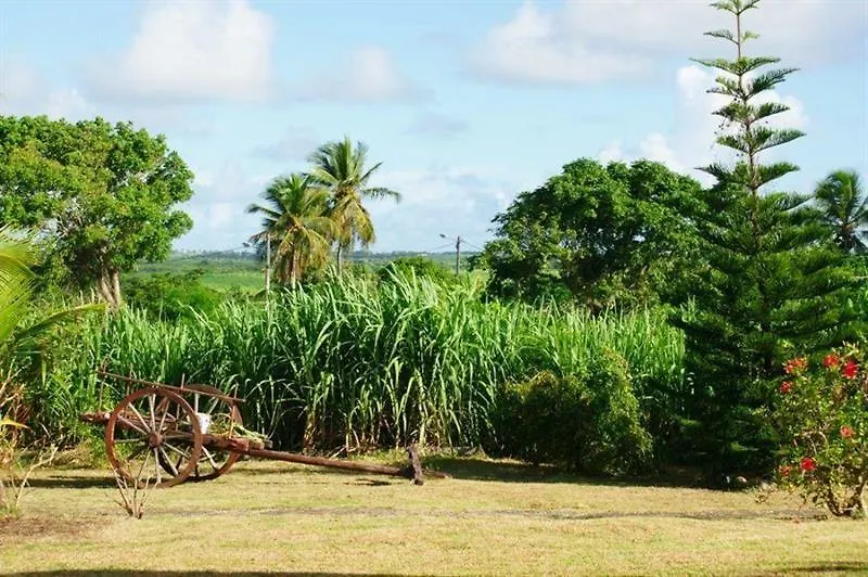 Au Jardin Debeausejour Apartment Capesterre